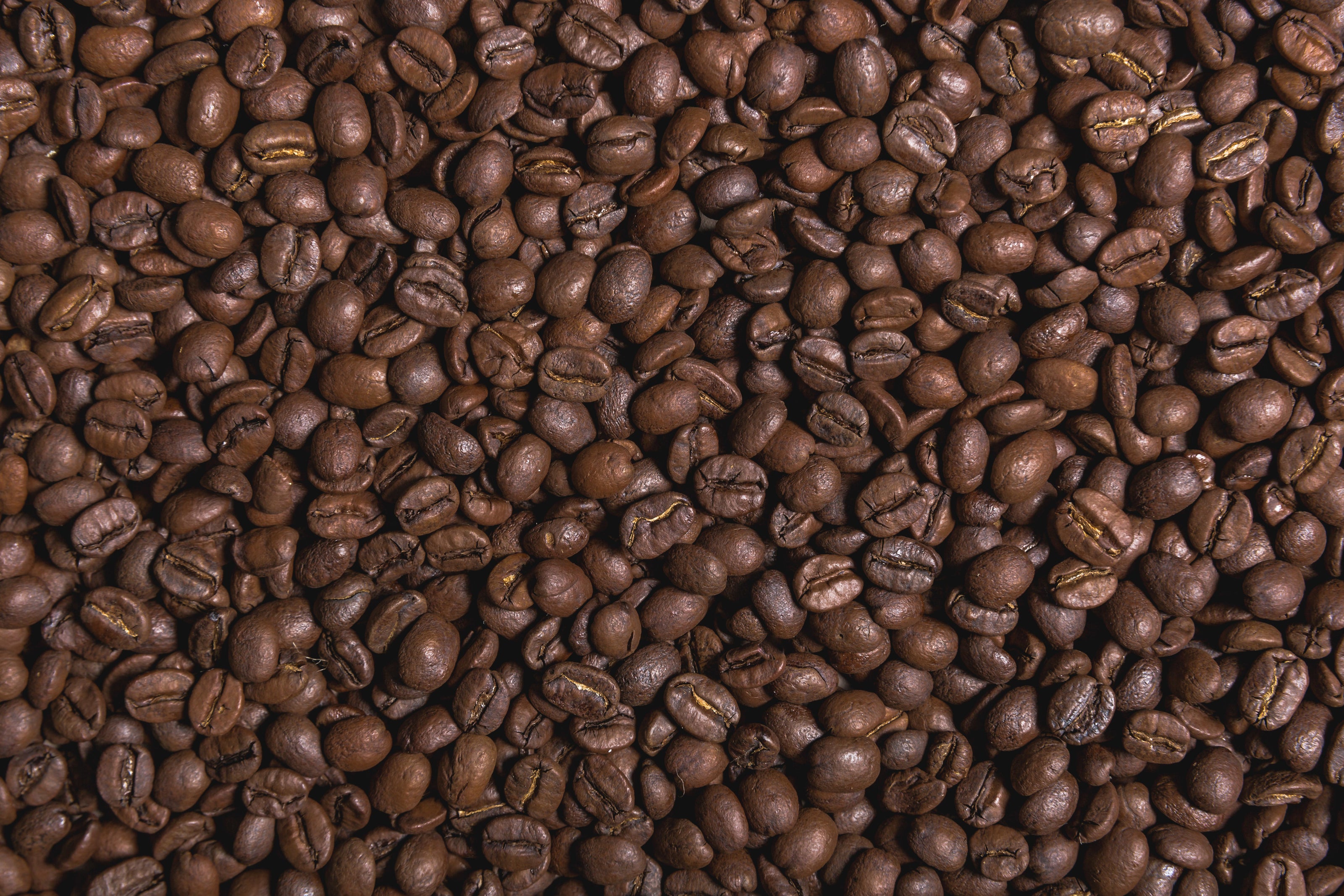 roasted coffee beans